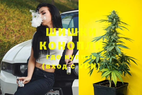 молекула духа Инта