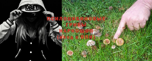 мяу мяу мука Зеленокумск