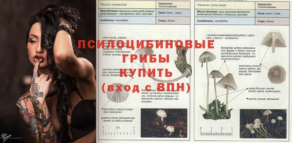 крисы Зеленодольск