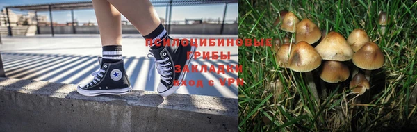мяу мяу мука Зеленокумск